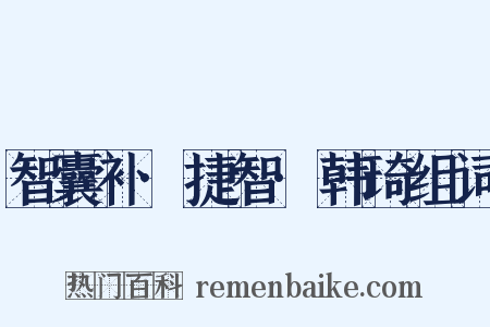 智囊补·捷智·韩琦组词是什么意思的图片